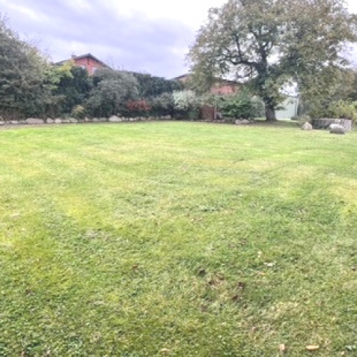 EInzigartiges ruhiges Baugundstück für ihr Schwedenhaus in Mitten ländlicher Idylle im Altdorf optimhome Immobilien Deutschland • Kaufen & Verkaufen