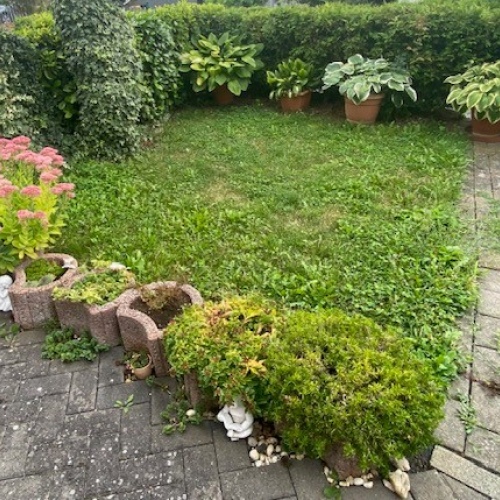 VERKAUFT ! Charmante EG Wohnung mit Gartennutzung in Sörgenloch optimhome Immobilien Deutschland • Kaufen & Verkaufen VERKAUFT ! Charmante EG Wohnung mit Gartennutzung in Sörgenloch optimhome Immobilien Deutschland • Kaufen & Verkaufen