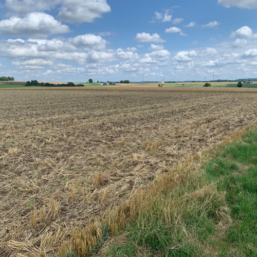 3 Landwirtschaftliche Flächen im Bieterverfahren abzugeben optimhome Immobilien Deutschland • Kaufen & Verkaufen