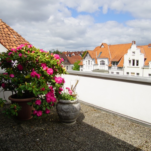 Stilvolle 3-Zimmer-Wohnung im begehrten Philosophenviertel in Hannover optimhome Immobilien Deutschland • Kaufen & Verkaufen Stilvolle 3-Zimmer-Wohnung im begehrten Philosophenviertel in Hannover optimhome Immobilien Deutschland • Kaufen & Verkaufen