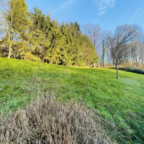 Perfekte Familienidylle - Freistehendes Einfamilienhaus in ruhiger Lage mit großzügigem Grundstück optimhome Immobilien Deutschland • Kaufen & Verkaufen