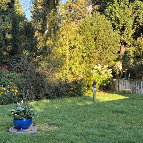 Einfamilienhaus mit Mansardendach optimale Raumaufteilung und tagesbelichtetes Souterrain optimhome Immobilien Deutschland • Kaufen & Verkaufen Einfamilienhaus mit Mansardendach optimale Raumaufteilung und tagesbelichtetes Souterrain optimhome Immobilien Deutschland • Kaufen & Verkaufen