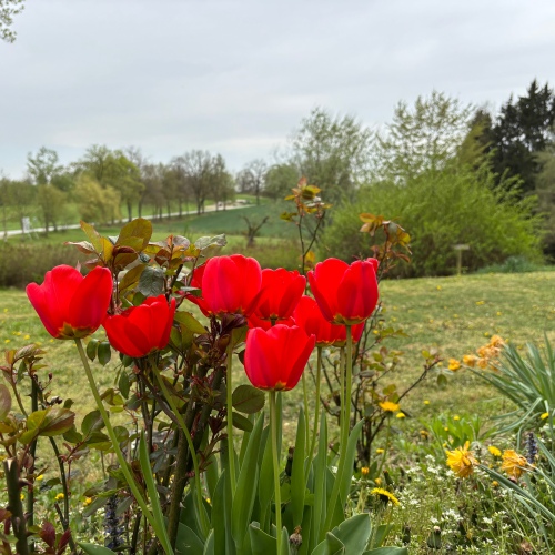 ***Übers Land blicken - Unikat mit Geschichte, Charm und bezauberndem Ambiente*** optimhome Immobilien Deutschland • Kaufen & Verkaufen